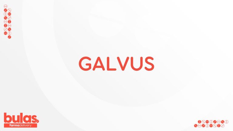 BULA GALVUS